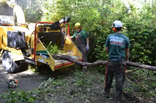 tree services Hockessin